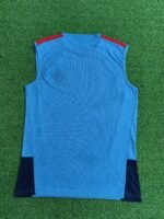 España Training Vest 2026 - Imagen 2