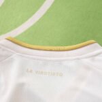 Venezuela Visitante 2026 - Imagen 5