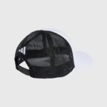 F1 Mercedes Benz AMG Petronas - Imagen 2